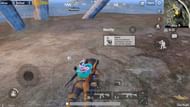 Locations for a companion in PUBG mobile